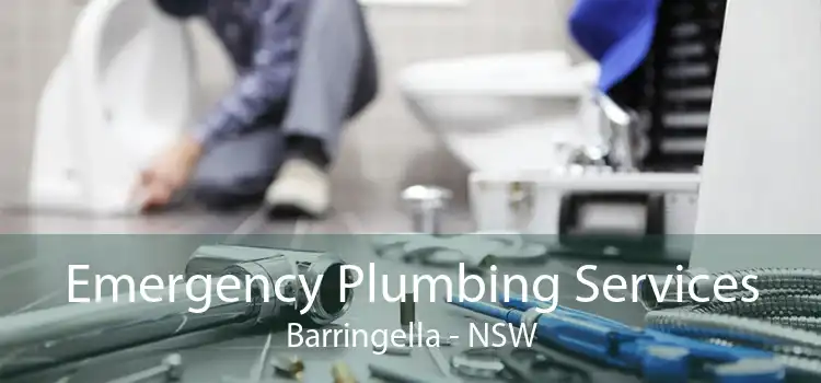 Emergency Plumbing Services Barringella - NSW