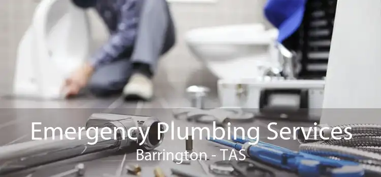 Emergency Plumbing Services Barrington - TAS