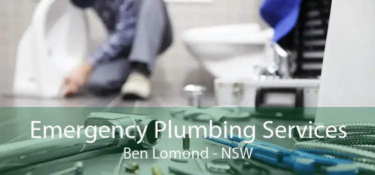 Emergency Plumbing Services Ben Lomond - NSW