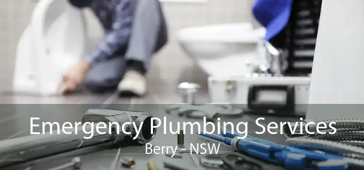 Emergency Plumbing Services Berry - NSW