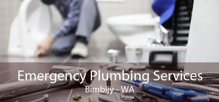 Emergency Plumbing Services Bimbijy - WA