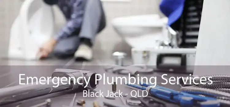 Emergency Plumbing Services Black Jack - QLD