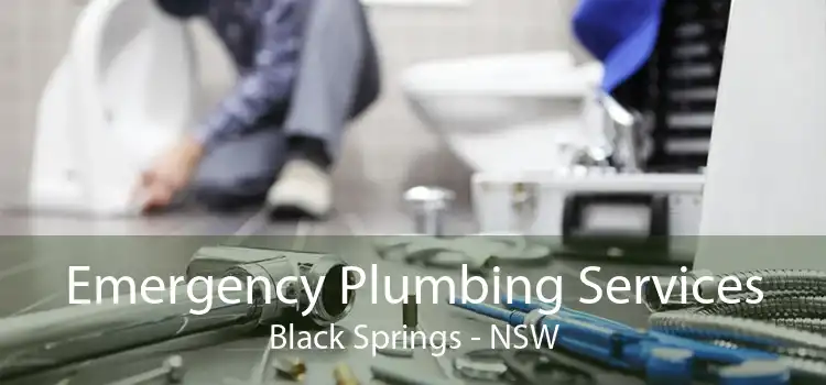 Emergency Plumbing Services Black Springs - NSW