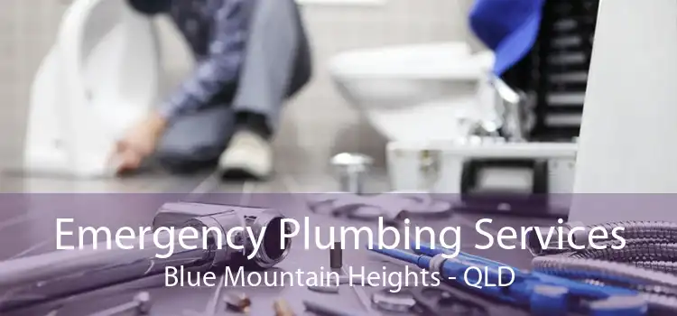Emergency Plumbing Services Blue Mountain Heights - QLD
