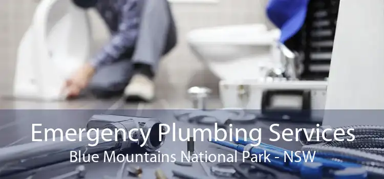 Emergency Plumbing Services Blue Mountains National Park - NSW