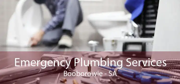 Emergency Plumbing Services Booborowie - SA