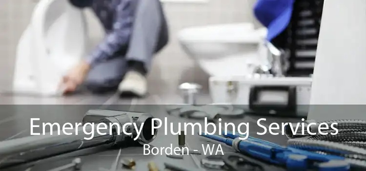 Emergency Plumbing Services Borden - WA