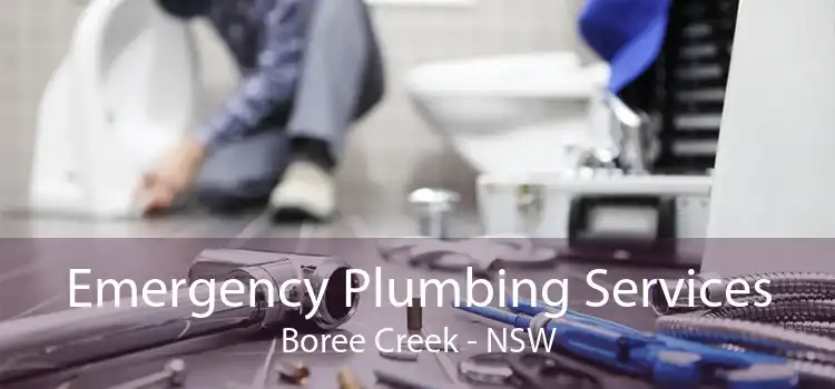 Emergency Plumbing Services Boree Creek - NSW