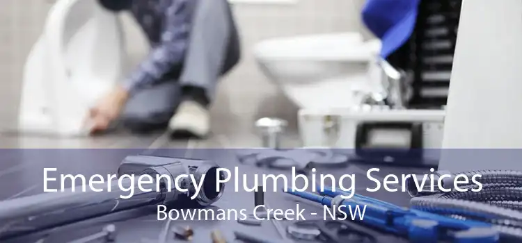 Emergency Plumbing Services Bowmans Creek - NSW