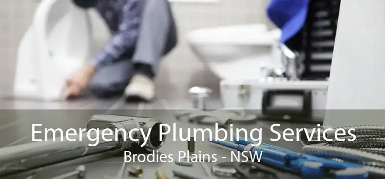 Emergency Plumbing Services Brodies Plains - NSW