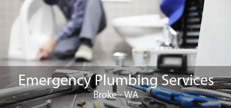 Emergency Plumbing Services Broke - WA