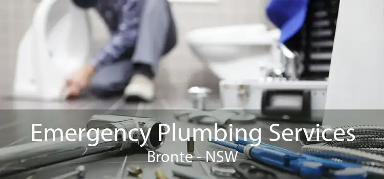 Emergency Plumbing Services Bronte - NSW