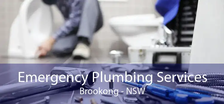 Emergency Plumbing Services Brookong - NSW