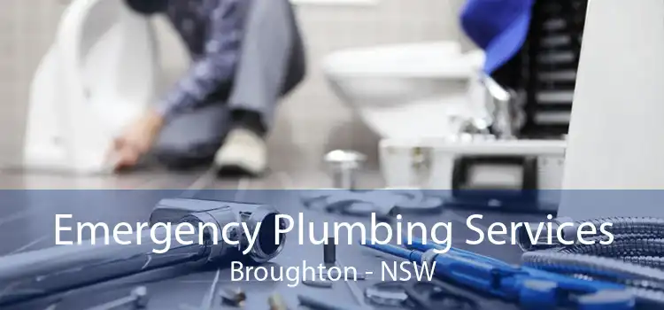 Emergency Plumbing Services Broughton - NSW