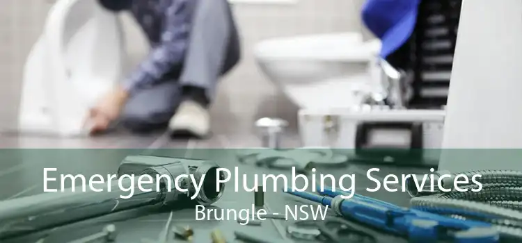 Emergency Plumbing Services Brungle - NSW