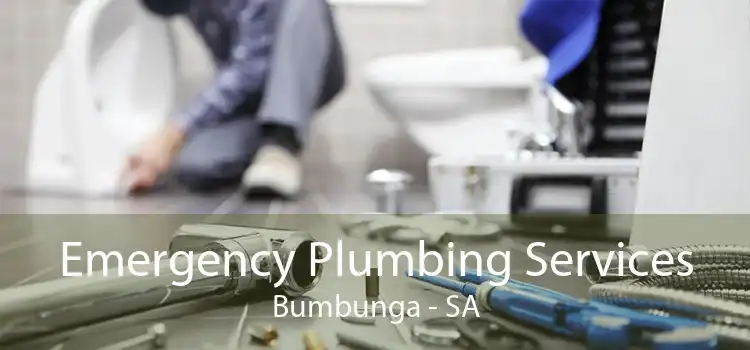 Emergency Plumbing Services Bumbunga - SA