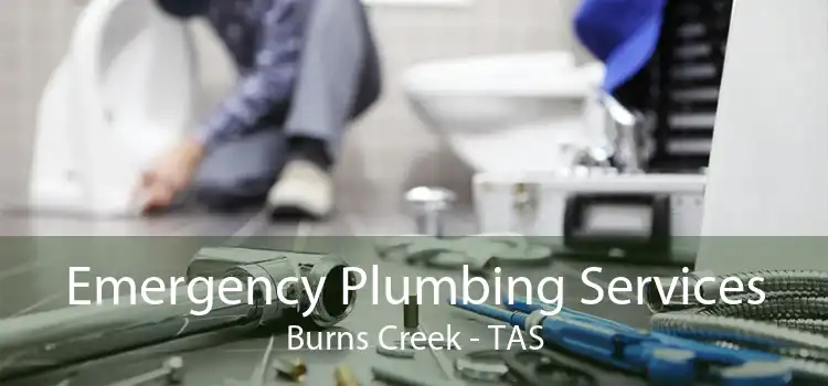 Emergency Plumbing Services Burns Creek - TAS