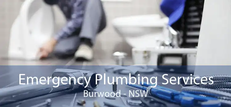 Emergency Plumbing Services Burwood - NSW