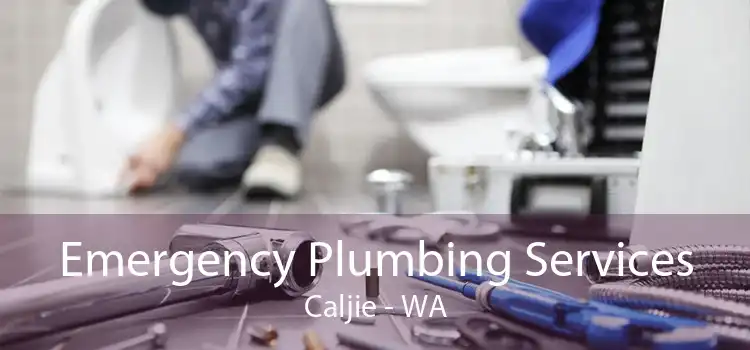 Emergency Plumbing Services Caljie - WA