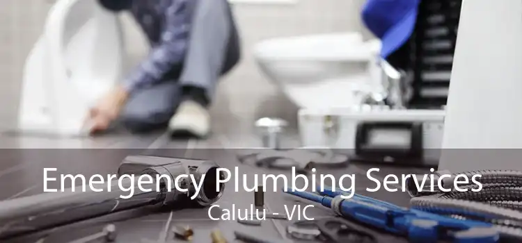 Emergency Plumbing Services Calulu - VIC
