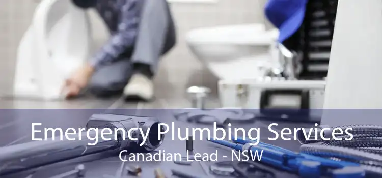 Emergency Plumbing Services Canadian Lead - NSW