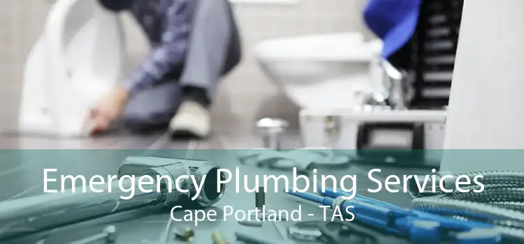 Emergency Plumbing Services Cape Portland - TAS