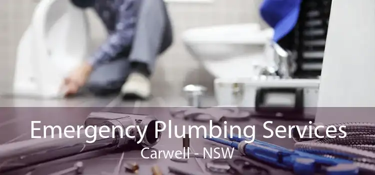 Emergency Plumbing Services Carwell - NSW