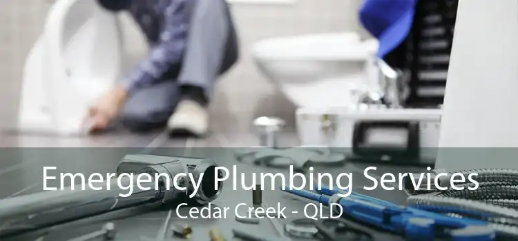 Emergency Plumbing Services Cedar Creek - QLD
