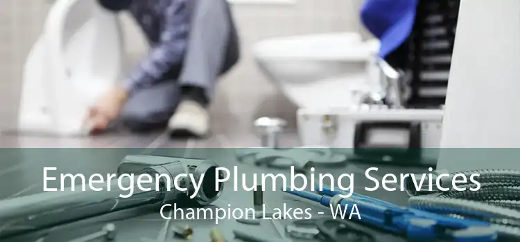 Emergency Plumbing Services Champion Lakes - WA