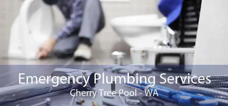 Emergency Plumbing Services Cherry Tree Pool - WA