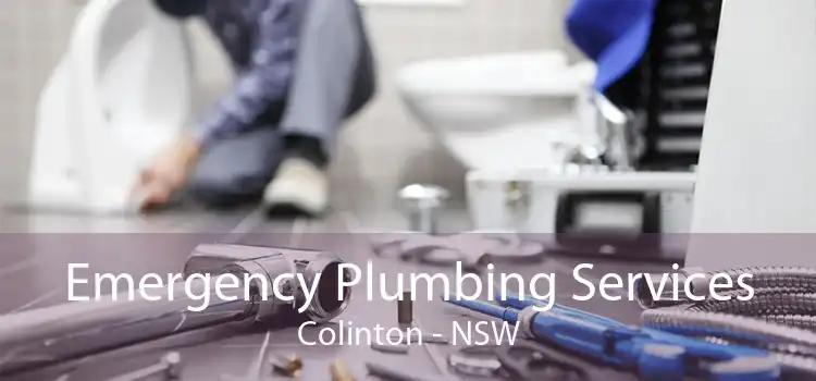 Emergency Plumbing Services Colinton - NSW