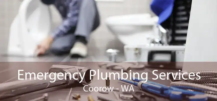 Emergency Plumbing Services Coorow - WA