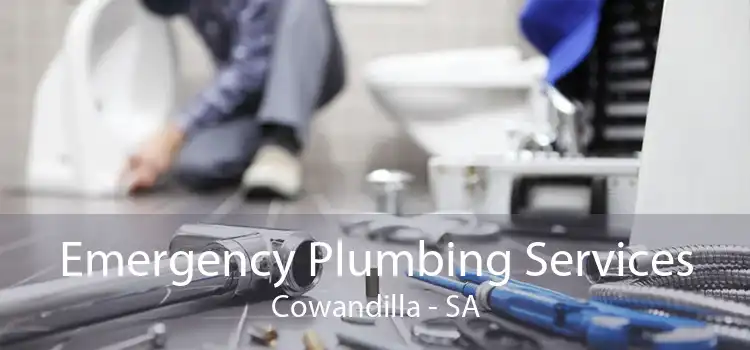 Emergency Plumbing Services Cowandilla - SA
