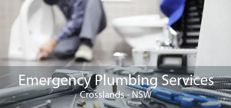 Emergency Plumbing Services Crosslands - NSW