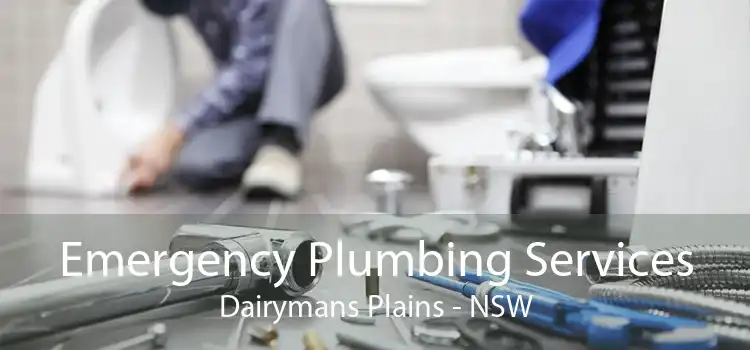 Emergency Plumbing Services Dairymans Plains - NSW