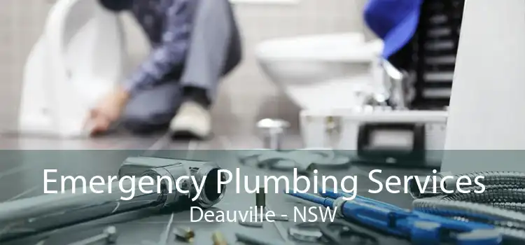 Emergency Plumbing Services Deauville - NSW