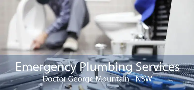 Emergency Plumbing Services Doctor George Mountain - NSW