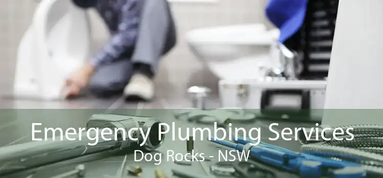 Emergency Plumbing Services Dog Rocks - NSW