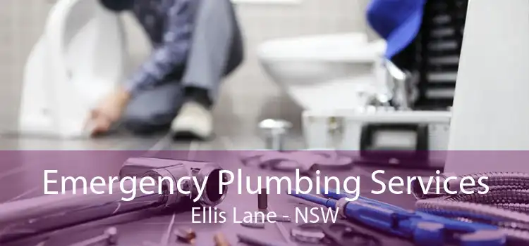 Emergency Plumbing Services Ellis Lane - NSW