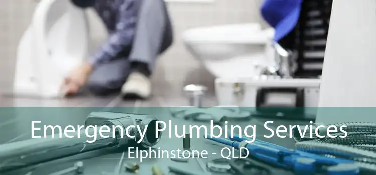Emergency Plumbing Services Elphinstone - QLD