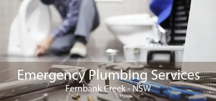 Emergency Plumbing Services Fernbank Creek - NSW