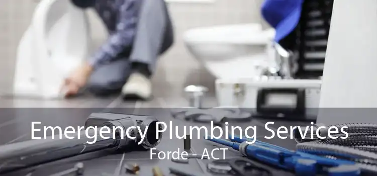 Emergency Plumbing Services Forde - ACT