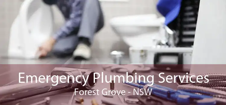 Emergency Plumbing Services Forest Grove - NSW