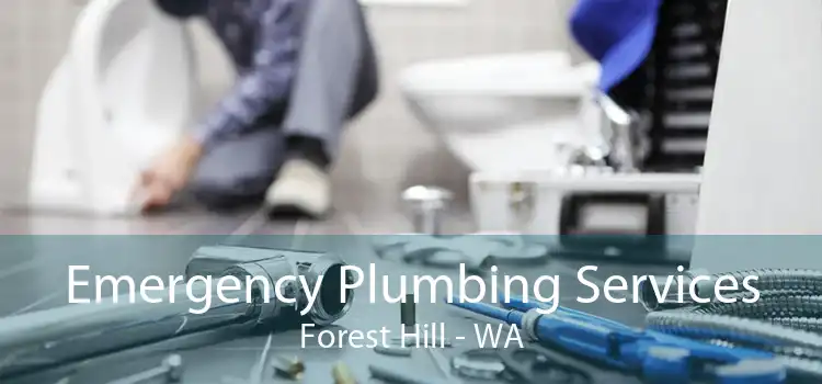 Emergency Plumbing Services Forest Hill - WA