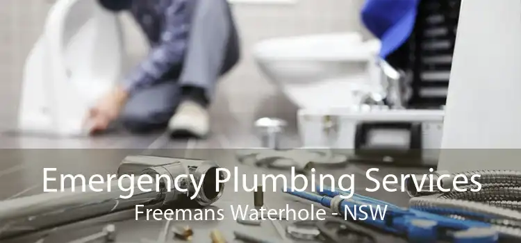 Emergency Plumbing Services Freemans Waterhole - NSW