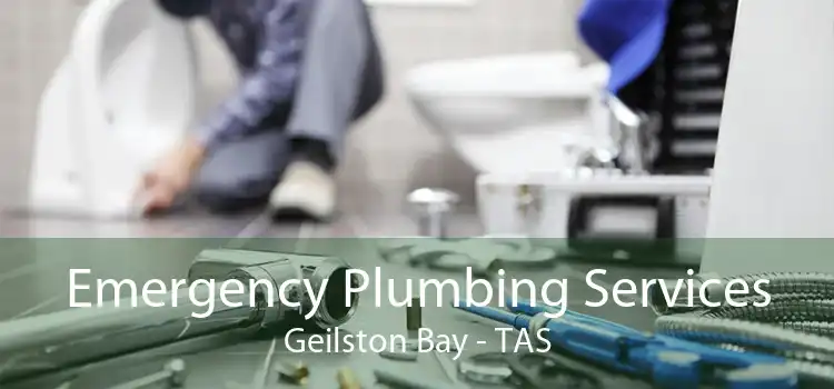 Emergency Plumbing Services Geilston Bay - TAS