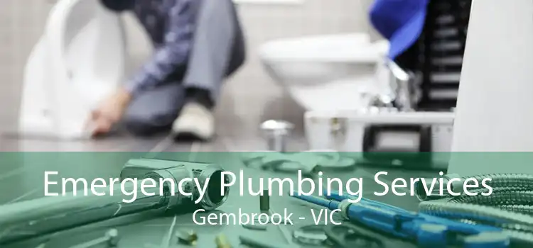 Emergency Plumbing Services Gembrook - VIC