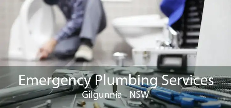 Emergency Plumbing Services Gilgunnia - NSW