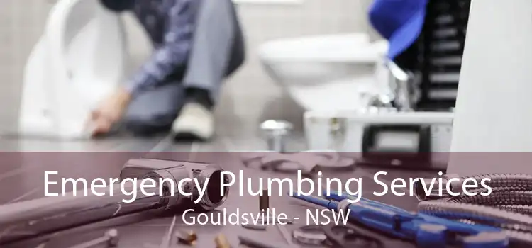 Emergency Plumbing Services Gouldsville - NSW