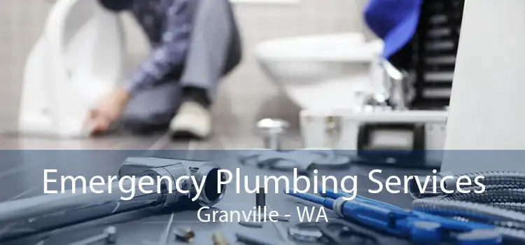 Emergency Plumbing Services Granville - WA